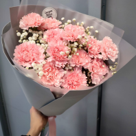 Букет из 13 диантусов с гипсофилой Букет из 13 диантусов с гипсофилой