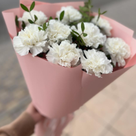 Букет из 9 диантусов с зеленью. Диантусы разных цветов в ассортименте Букет из 9 диантусов с зеленью. Диантусы разных цветов в ассортименте